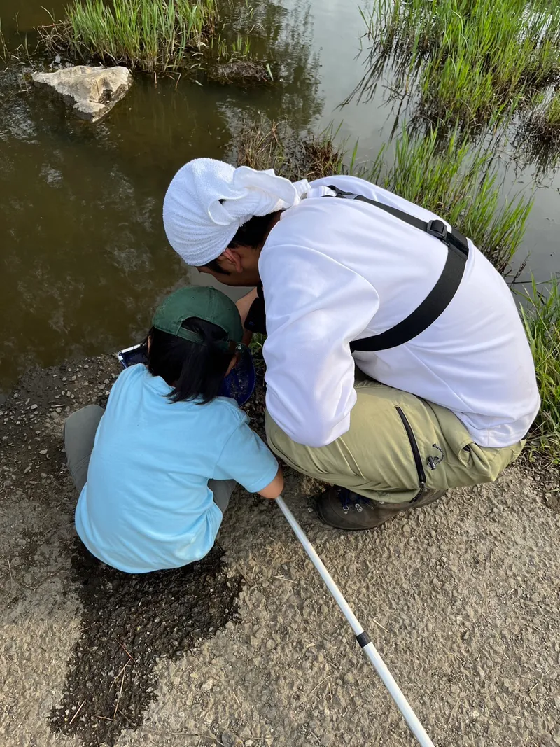 初心者向け 都内の公園で親子の虫さがし体験！季節ごとに変わる生き物を探そうのサブ写真6
