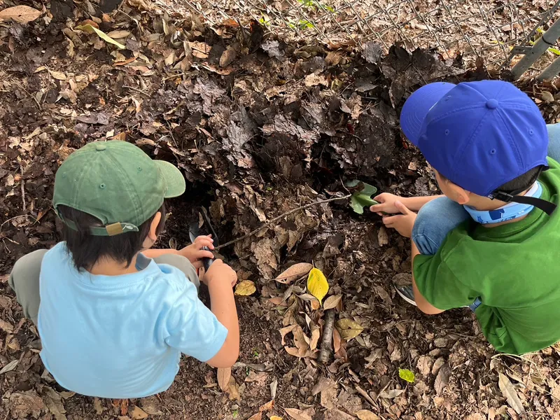 初心者向け 都内の公園で親子の虫さがし体験！季節ごとに変わる生き物を探そうのサブ写真7