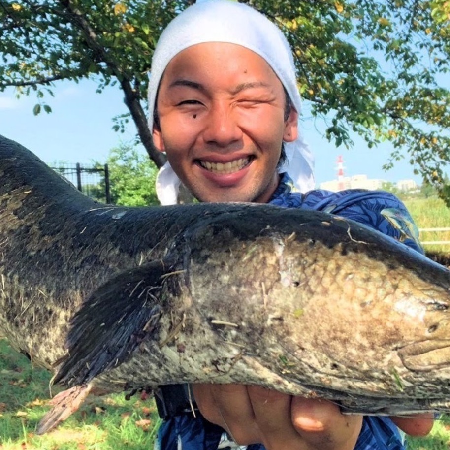 ガイド